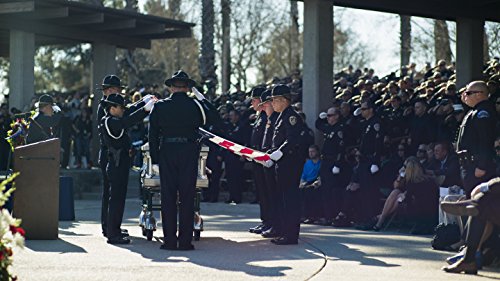 Fallen B075T1W9WF Book Cover