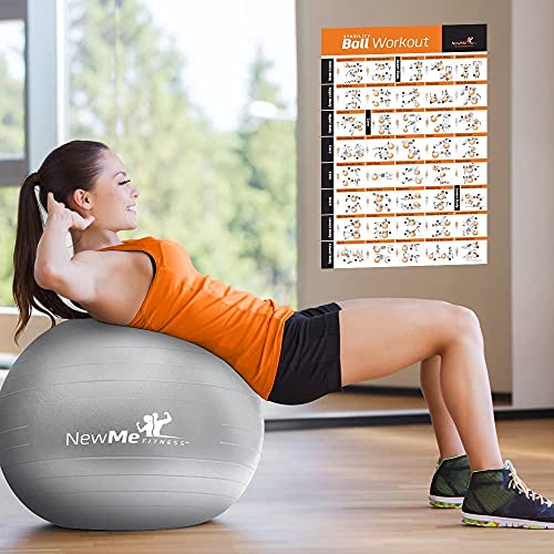 image for NewMe Fitness Workout Posters for Home Gym, Stability Exercise Posters