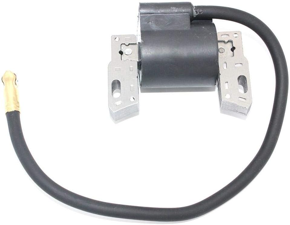 Ignition Coil Armature Replaces Fit for and 591420 793281 793352 792594 395489 398593 496914