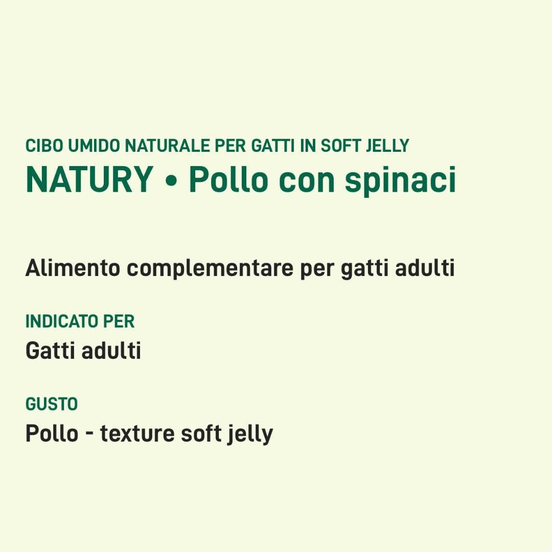 Oasy - Comida húmeda para gatos naturales con sabor a pollo con espinacas, suaves pelusas naturales de Soft Jelly para gatos adultos de todos los tamaños y razas | 24 latas de 85 gramos cada una.