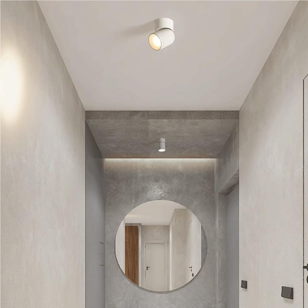 Modern Adjustable Rotatable Ceiling Spotlight Aluminum Fixture 3 Color Temperature Dimmable Accent Lighting Space Saving Lamp for Hallway Corridor Living Room Wall Art Gallery Home(Black,2-pack)