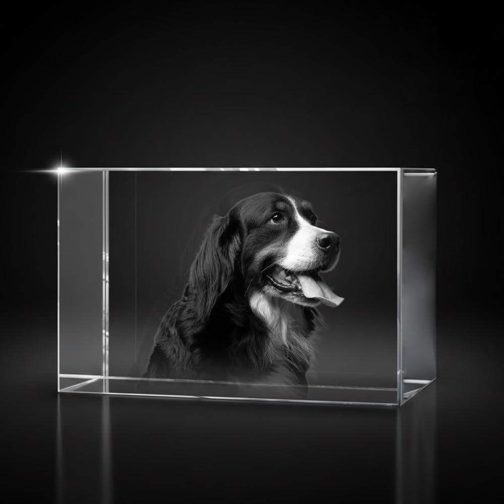 Giftic 3d Laser Engraved Classic Rectangle Crystal Custom Photo Print, Personalised Gifts for her/him, dad/mom, Anniversary Couples Gifts (Wide, XXL: 20x13x8cm, Glass Crystal)