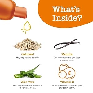 Dog Shampoo with Oatmeal & Aloe Vera – Grooming Pet Wash for Itchy & Sensitive Skin + Dandruff & Coat – Gentle Anti Itch Formula – Vanilla Bean Scent – 16 OZ