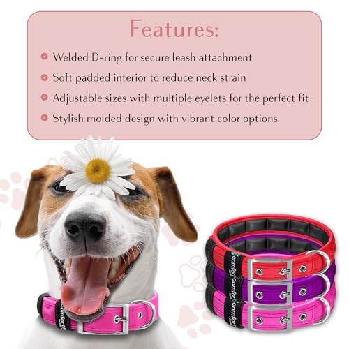 Collar para perro ajustable cómodo, impermeable y reflectante miniatura 5