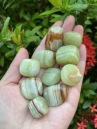 Image of GAF TREASURES 1 /2 LB Green Onyx Tumbled Stones, Polished Green Onyx Gemstone, Green Onyx Healing Crystals (Green Onyx)