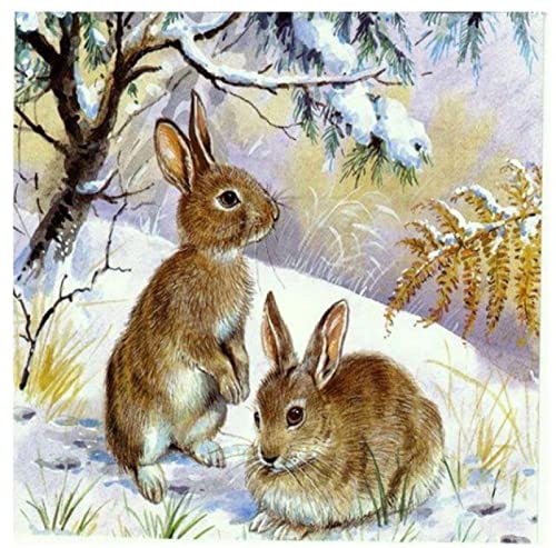 Kit Point de Croix Lapin de Noël Idée Cadeau Créative Kit Broderie avec Motif