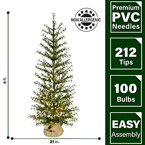 Fraser Hill Farm Farmhouse Christmas Tree In Burlap Bag, 48 Inches Tall | Artificial Tree Includes Warm White Led Lights | Perfect Indoor Or Outdoor Holiday Decoration | Ffff048-5Gr, Green #TOP1