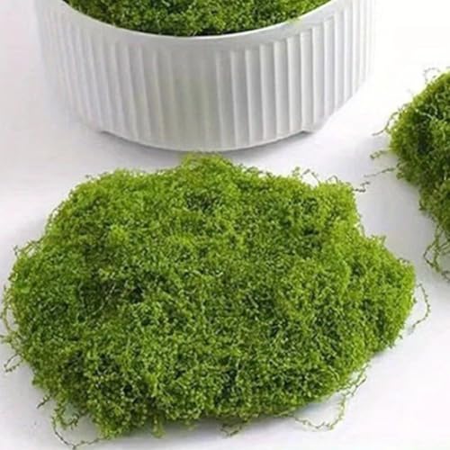 Mousse artificielle verte pour composition florale et décoration végétale d'intérieur