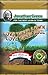 Jonathan Green Love Your Lawn-Love Your Soil Fertilizer, 18-Pound