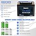 YTX4L-BS Lithium Motorcycle Battery 12V 4Ah 80CCA LiFePO4 High Performance Battery Compatible With Polaris Scrambler, Sportsman 90, Honda Scooters NQ50 Spree,Kawasaki 110 Can-Am DS70,Yamaha LE
