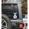 Amazon.com - Stitch, Stop Riding,Vinyl Decal,Sticker for Cars,Windows ...