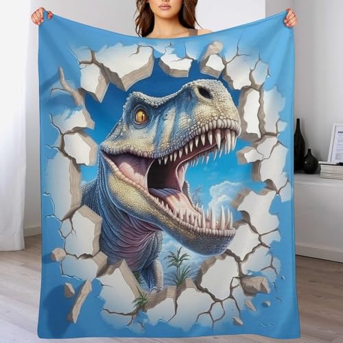 Plaid flannel polyester chaud plaid dinosaure facile &agrave; nettoyer - 2