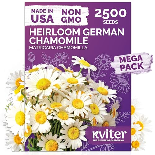 KVITER 2,500 German Chamomile Seeds for Planting (Matricaria Chamomilla/Recutita) – Heirloom & Non-Gmo Medicinal Herb Seeds, Flowers for Remedies & Chamomile Tea Organic – Indoors/Outdoors Herb Garden