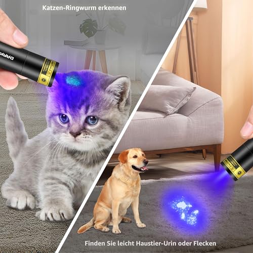 DARKBEAM UV Taschenlampe 365nm Schwarzlicht und 395nm Licht Aufladbar USB, Mini Ultraviolett LED Licht Woodsche Lampe, Schwarzlichttaschenlampen für Haustierurin, Uranglas, Aushärtungsharz,2 Stück