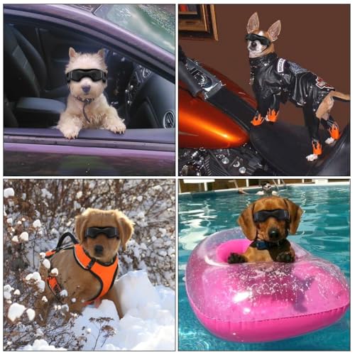 Adiwo Hundebrille,Wasserdicht Hundeschutzbrille mit Hundehalstuch Anti-UV Schutz Hunde Sonnenbrille mit Einstellbar Gummiband Winddichte Schutzbrille Motorradbrille für Kleine Mittelgroße Hunde -S