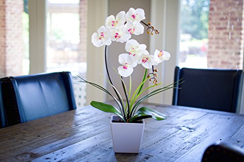 Homeseasons SPH-9W Homeseaons Orchid Lamp-Led Lighted Orchid Arrangements,Pre Lit Artificial Orchid,Light Up Flower Lights thumb #1