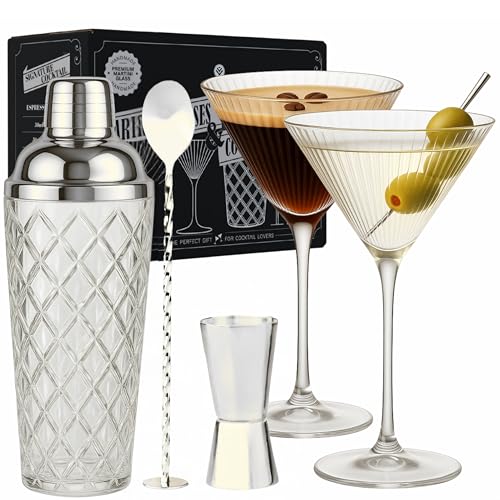 VEMACITY Silver Cocktail Shaker Set + 2 Ribbed Martini Glasses & Bar Tools