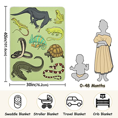 Image of Crocodile Snakes Lizard Baby Blankets Soft Warm Crib Stroller Blanket for Toddler Newborn Girls Boys, 30x40in