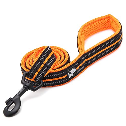 Laisse pour chien réfléchissante nylon orange XS évite les tractions dangereuses