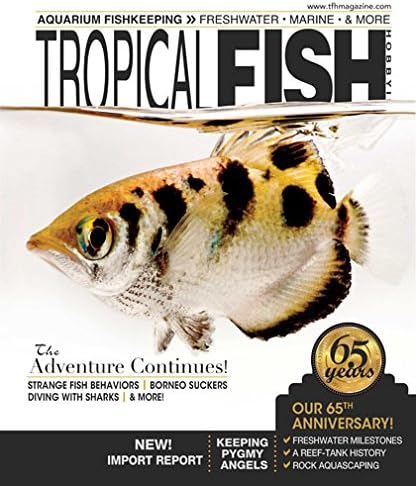 Tropical Fish Hobbyist