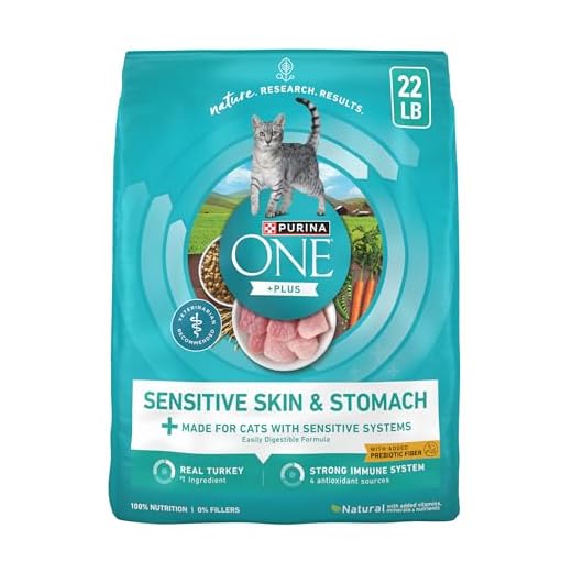 Purina ONE Sensitive Stomach Cat Food
