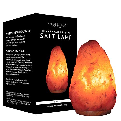 The 10 Best Himalayan Salt Lamps in 2021 Reviewed & Buyer Guide