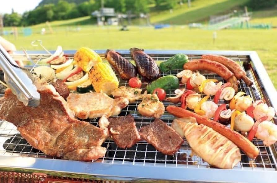 Amazon.co.jp: 使い捨て 10枚組 BBQ 焼き網 替え網 互換性 角型