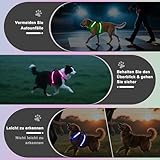 KOSKILL LED Hundegeschirr RGB wiederaufladbar mit Type C Ladung und Akku Anzeige superhelles Reflex Sicherheitsgeschirr für kleine mittlere Grosse Hunde Nacht wasserdicht leicht atmungsaktiv