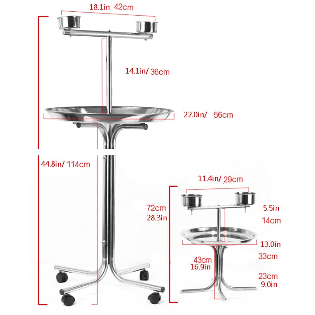 Supporto per pappagalli in acciaio inox per pappagalli medi e grandi, ideale per ara, canarino, calopsitta, inseparabili, fringuelli, pappagalli e piccoli pappagalli, espositore per gabbia per uccelli