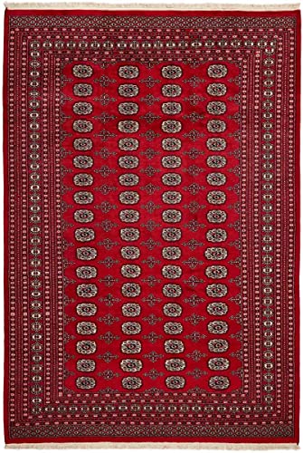 Nain Trading Pakistan Buchara 2ply 207x300 Noué à la Main Tapis d'Orient Tapis Laine et Soie Pakistan