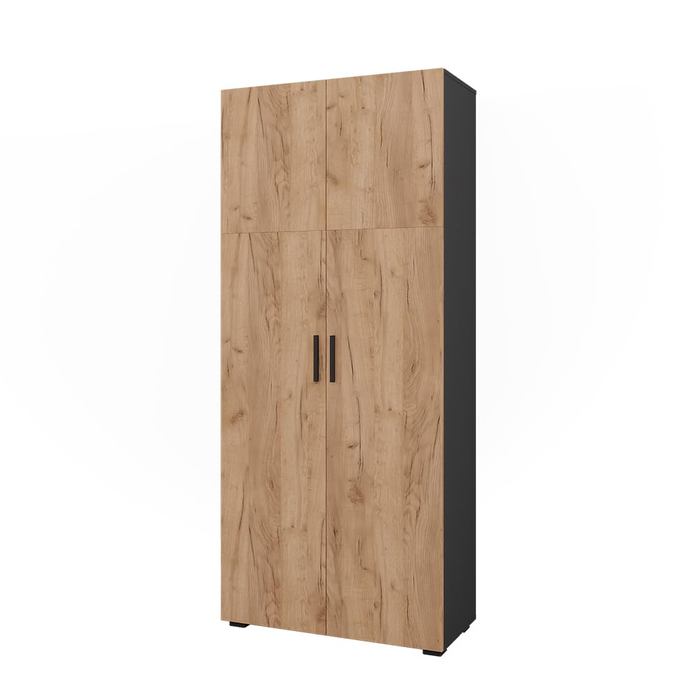 Vicco Armoire Universelle Ingo, Anthracite/chêne doré, 80x183.8cm, pour Le Rangement des dossiers et classeurs au Quotidien au Bureau