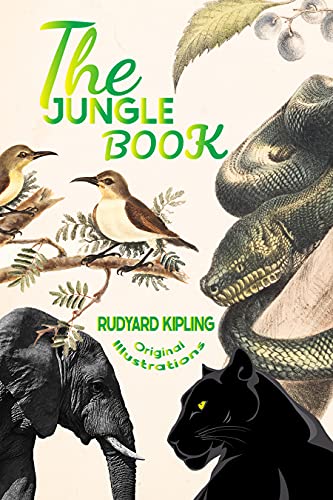Amazon The Jungle Book With Original Illustrations English Edition Kindle Edition By Kipling Rudyard Fantasy Kindleストア