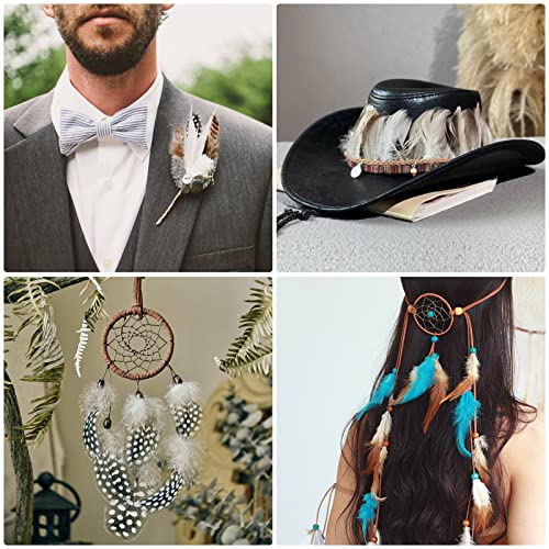 Sendyfeather 300Pcs 10 Style Natural Feathers Assorted Mixed Feathers For Dream Catcher Crafts Diy Decoration #TOP4