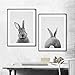 Produktbild bdrsjdsb Nordic Rabbit Print Poster Wandkunst Tiermalerei Bild Home Wohnzimmer Dekor 2# 30x40cm