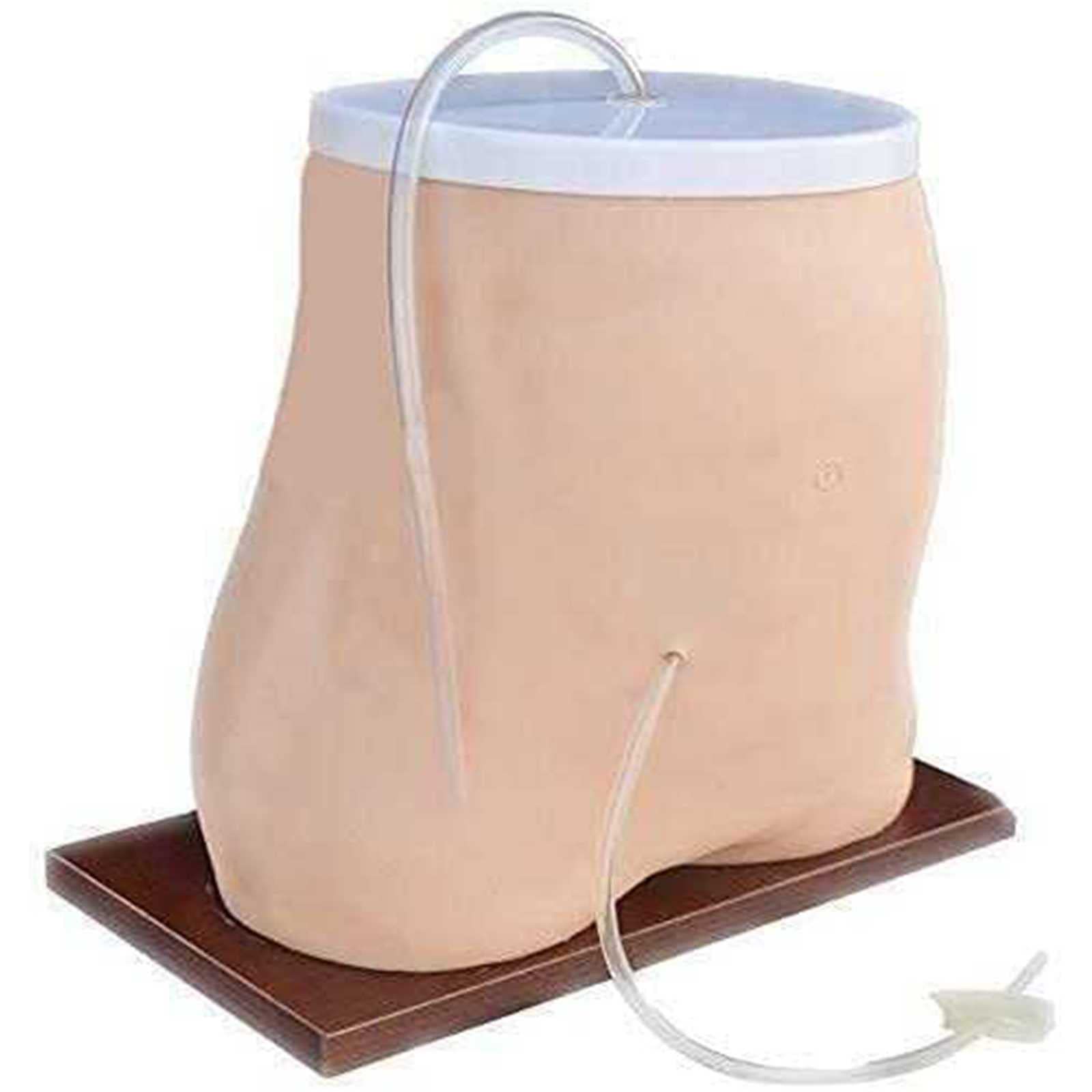 Buy Abdomen Anatomical Model, Peritoneal Dialysis Simulator Anatomy Manikin Model of Peritoneal