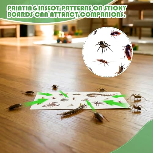Image of Qualirey 30 Pcs Spider Traps Indoor Roach Bug Ant Cricket Insect Sticky Traps Adhesive Cockroach Rat Mice Glue Boards for House Kitchen Bathroom Basement Garage(Tearable Style)