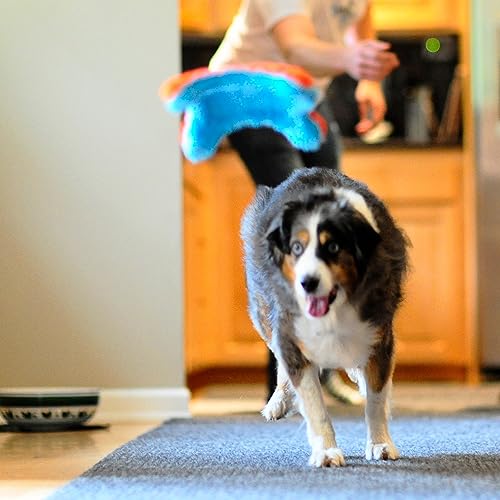 Image of Chuckit! Indoor Fetch Squirrel Toy for Dogs - Interactive Dog Toys for Boredom, Orange and Blue