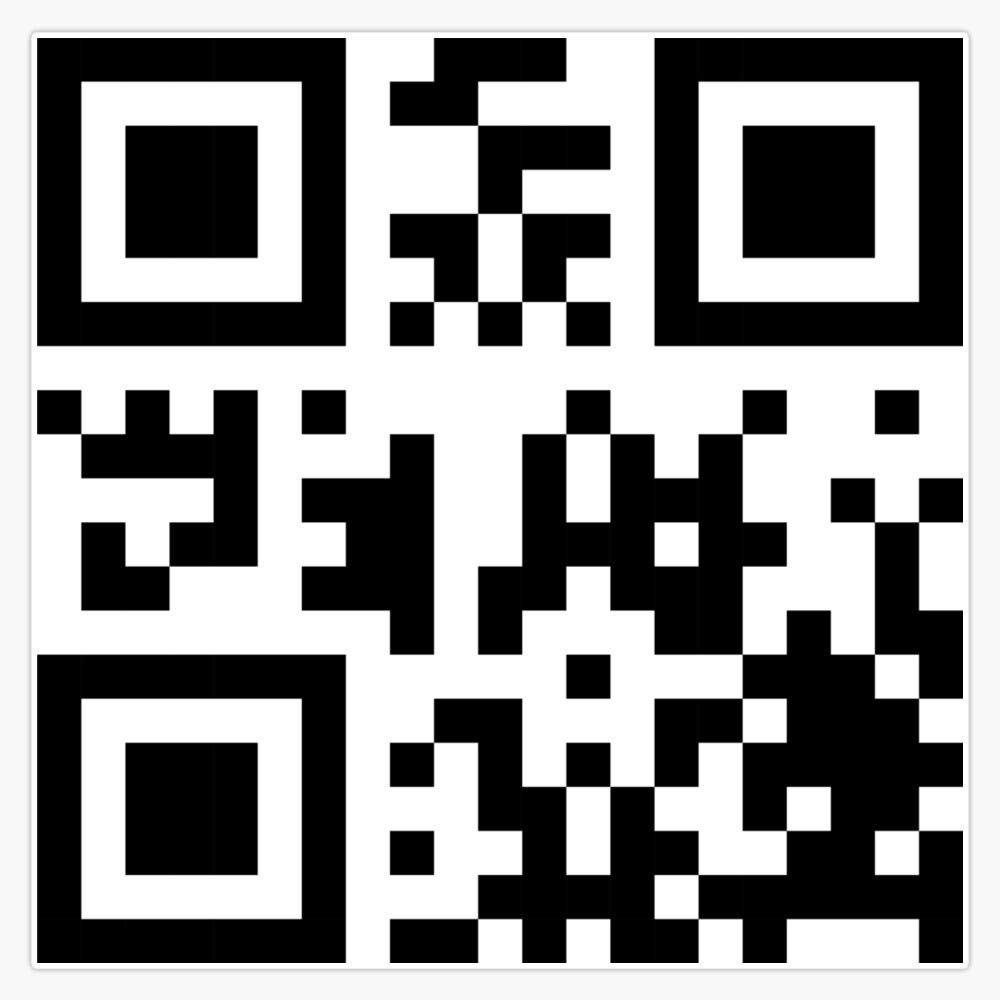 Amazon.com: Qr 
