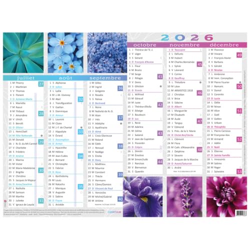 Calendrier Kawaï - 6 Mois Par Face - 40,5 X 55 Cm - Oberthur Pas Cher