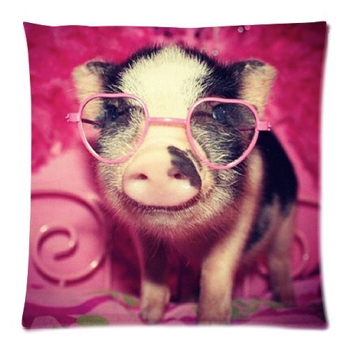 Pillow cases Vintage Little Lovely Cute Baby Pig Throw Sofa Bed Home Decor Cushion Cover 18*18 inches (twin sides) Zippered