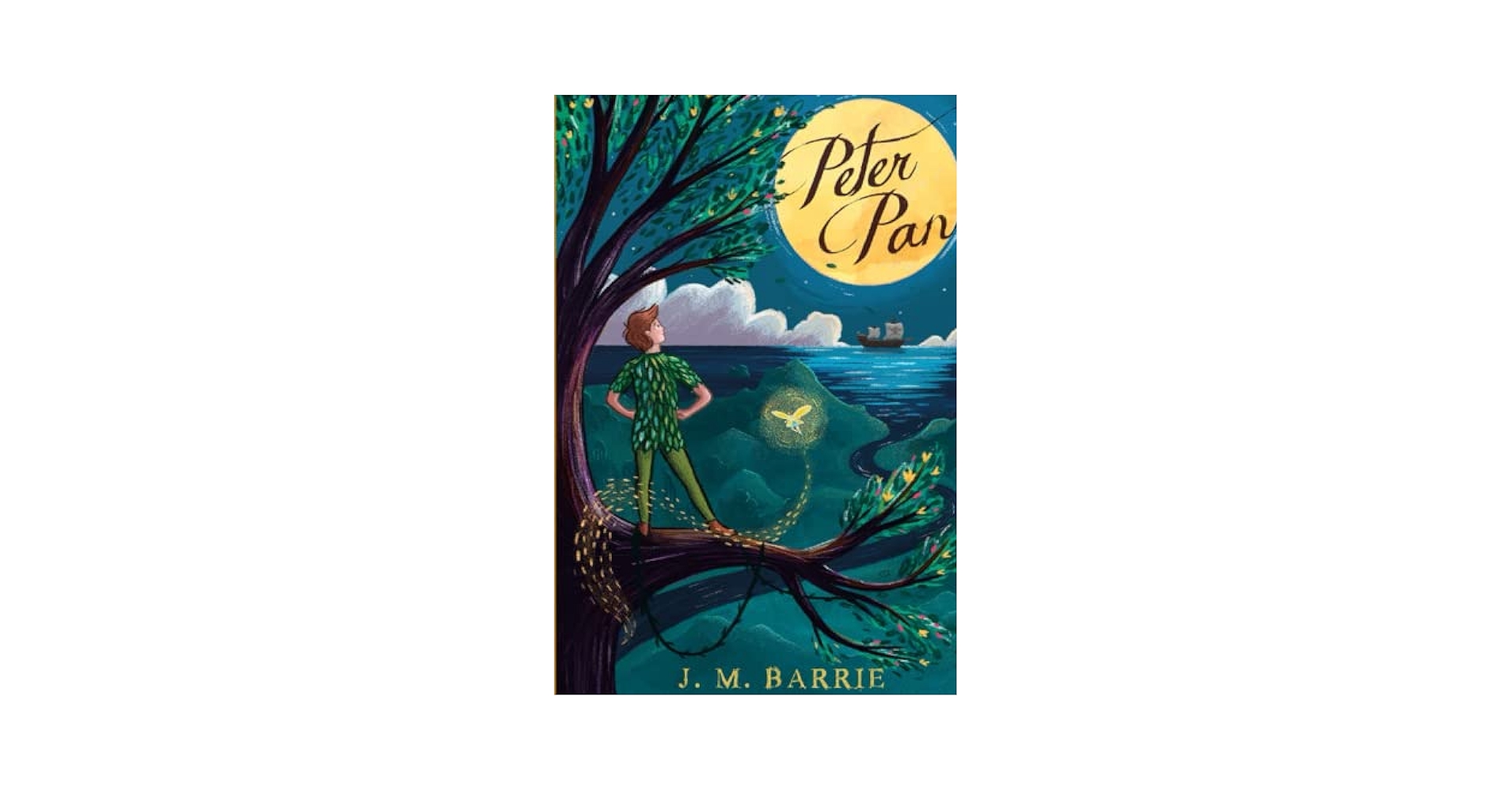 Amazon.com: Peter Pan: 9798391098447: Barrie, James Matthew