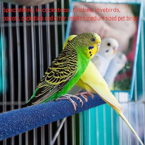 Image of 10 Pcs Parrot Perch Stand Bird Perch Stand Toy Colorful Paw Grinding Stick Cage Wooden Parakeet Perch Accessories for Cockatiels