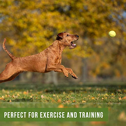 Hyper Pet Pet Tennis Balls For Dogs, Pet Safe Dog Toys For Exercise And Training, 2 Count (Pack Of 1), Colors May Vary, Green (48438Ea) #TOP4