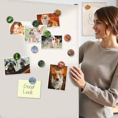 16 Imanes Decorativos de Resina para Refrigerador miniatura 2