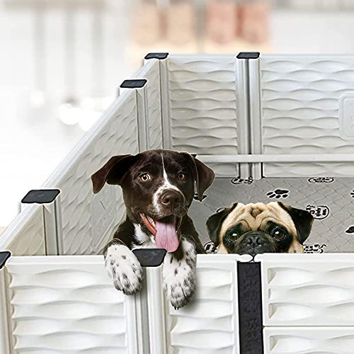 Image of EZwhelp EZclassic Dog Whelping Box with Rails, Medium 38 inchx38 inchx18 inch, Gray