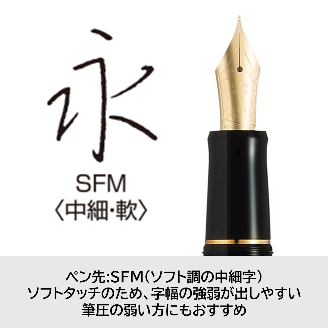 Amazon | PILOT 万年筆 カスタム74 SFM ソフト・ファイン・ファイン