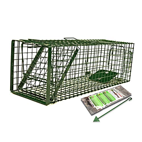 Holtaz Fallen Hardy Grün 130x34x34 cm 1 Tür Marderfalle Katzenfalle Fuchsfalle Biberfalle Tierfalle Kastenfalle Drahtfalle Waschbärfalle Mit Extra Köder