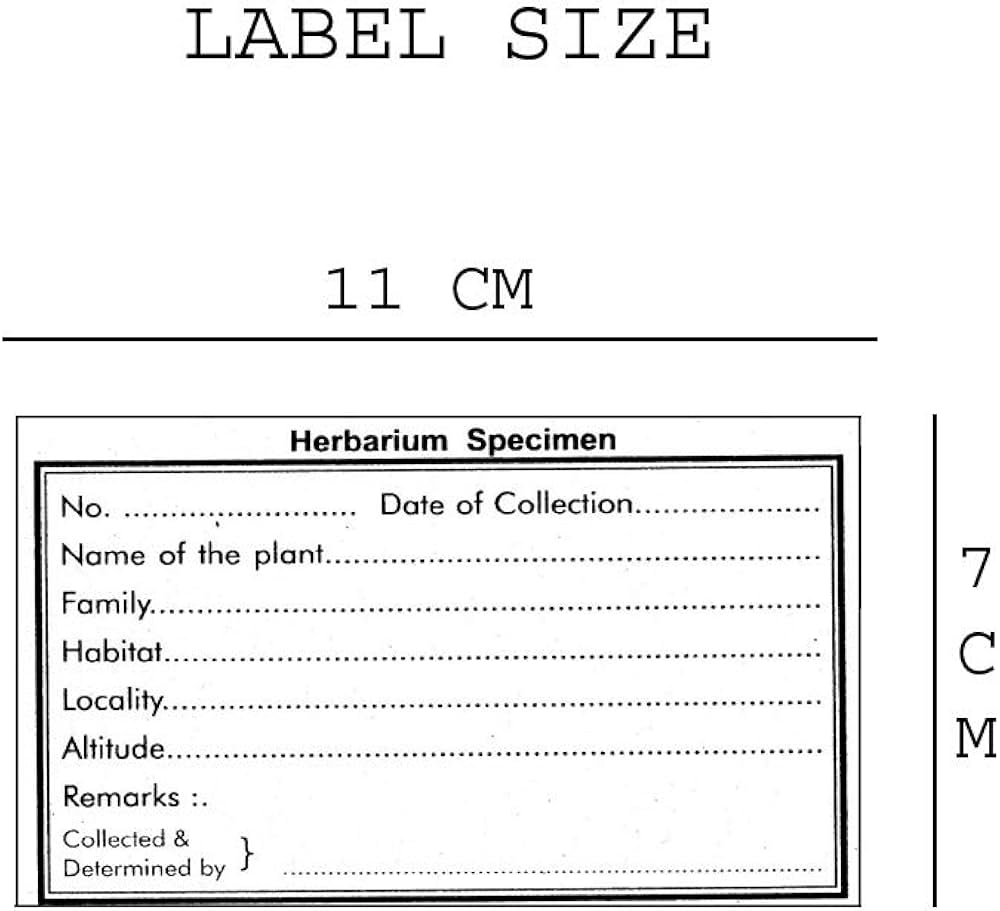 Herbarium Sheets (Pack Of 10) Monaf Stores