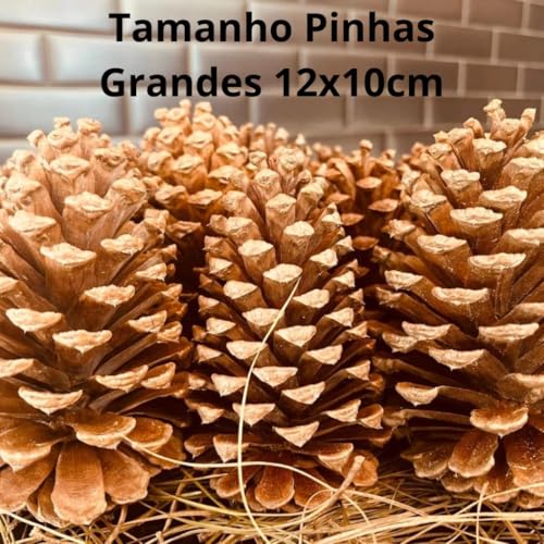 kit de 15 Pinhas ORGÂNICAS Grandes, Médias, Pequenas, Abertas ou Fechadas para Decoração de natal/Ar
