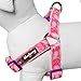 Blueberry Pet 5 Colors Soft & Comfy Step-in Paisley Flower Print Dog Harness, Chest Girth 20